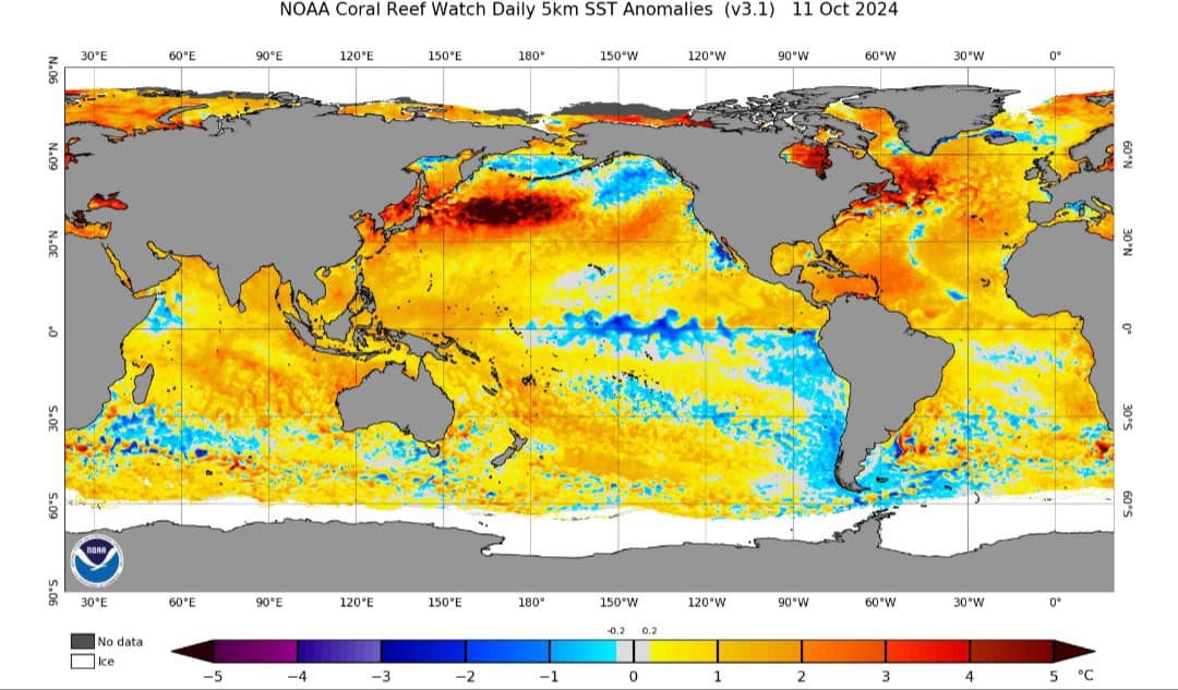 Meteo, Inverno 2024/2025: la Niña in ritardo sconvolge le prospettive 2 20241013 091408