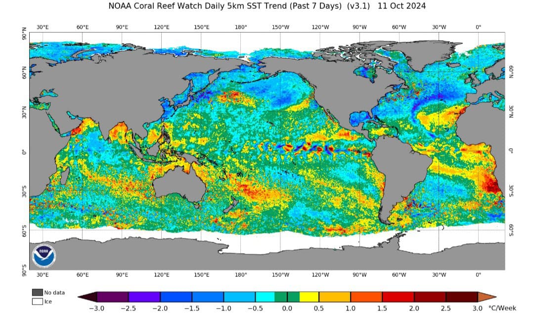 Meteo, Inverno 2024/2025: la Niña in ritardo sconvolge le prospettive 3 20241013 091441