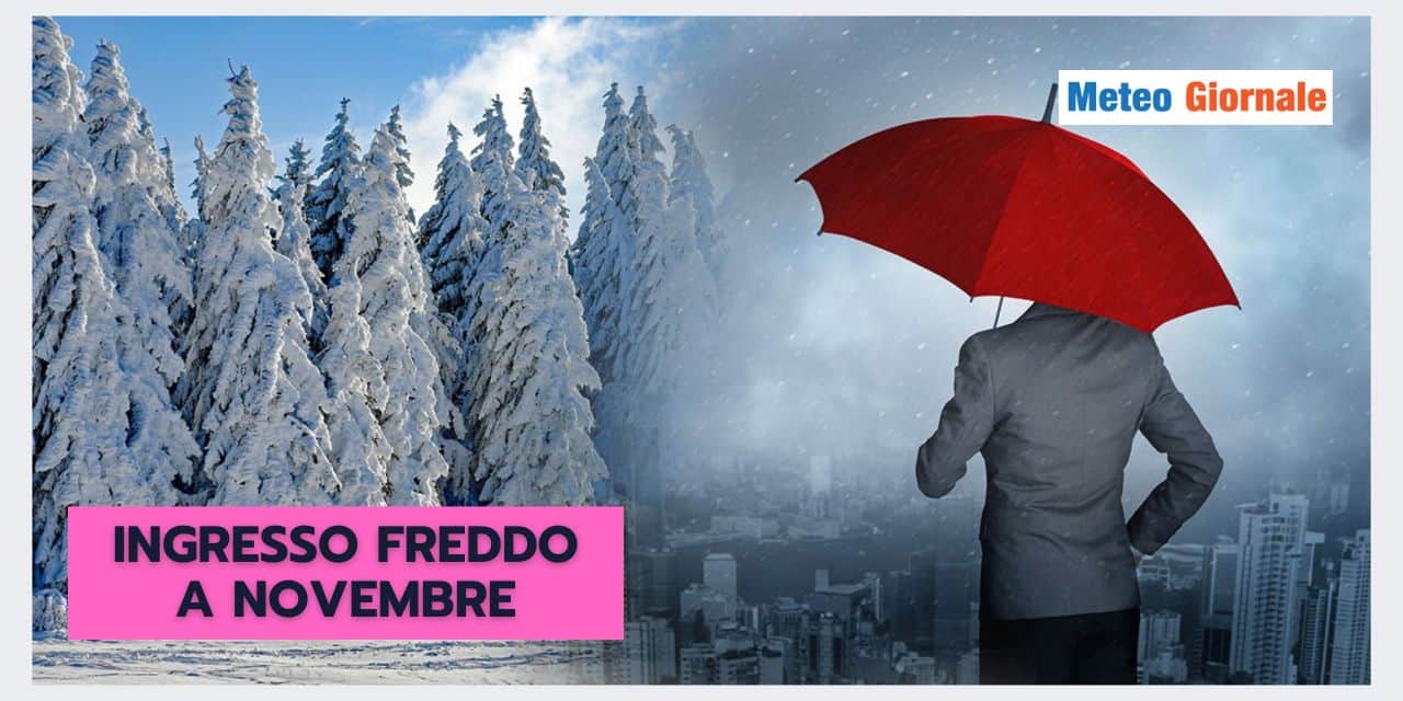 BOTTA ARTICA a Novembre? Vediamo le ipotesi meteo