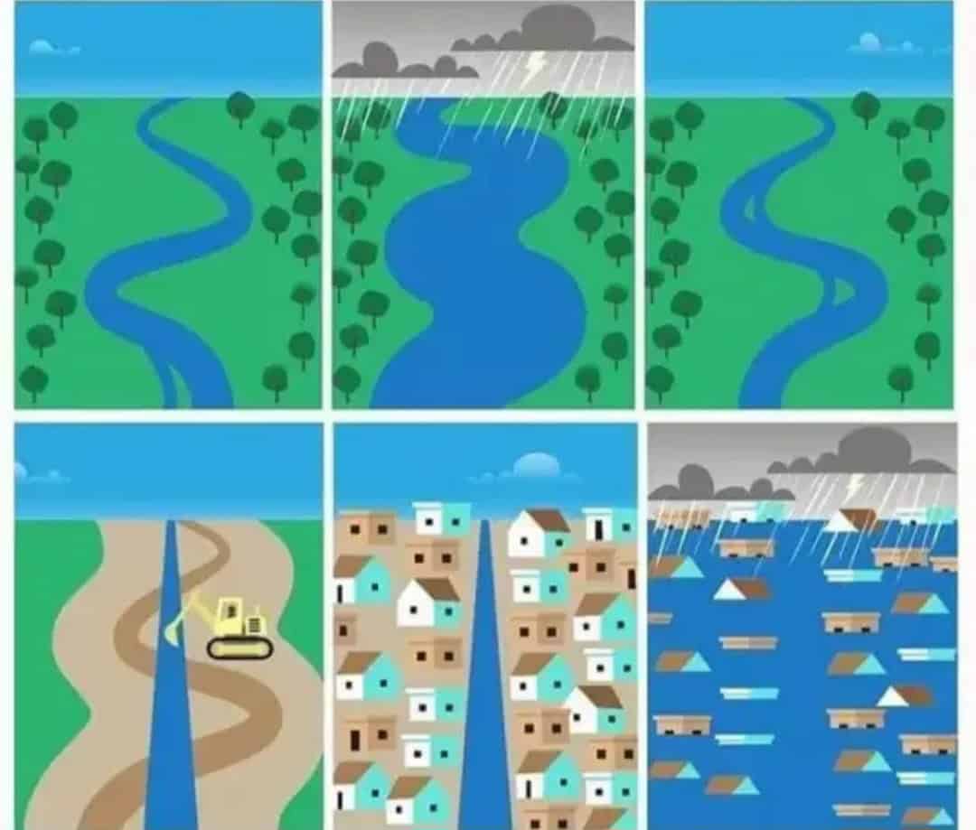 Barriere verdi contro il caos Meteo: il potere nascosto degli alberi 3 Ruolo degli alberi contro le alluvioni