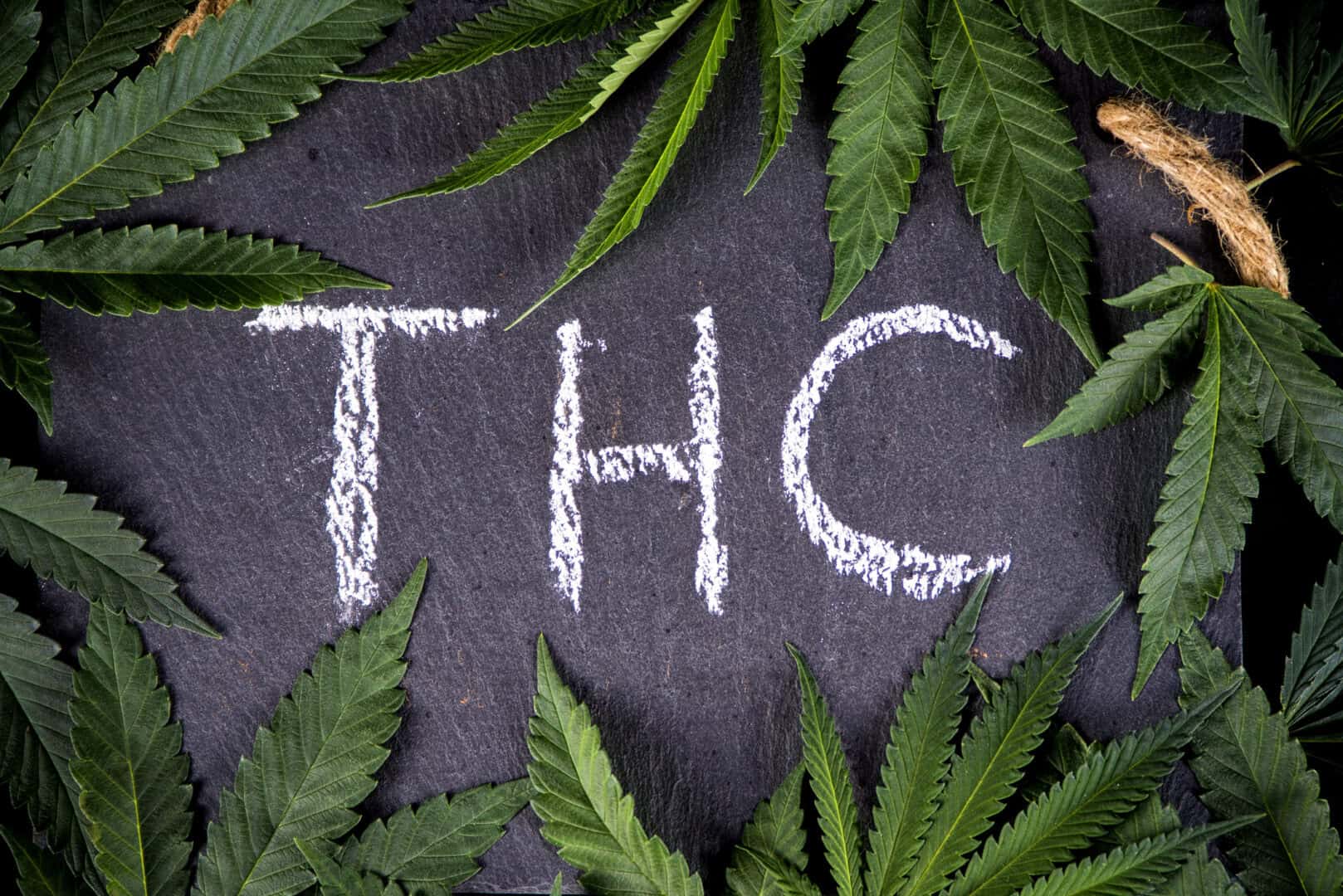 La cannabis ad alta concentrazione di THC modifica il DNA dei suoi consumatori
