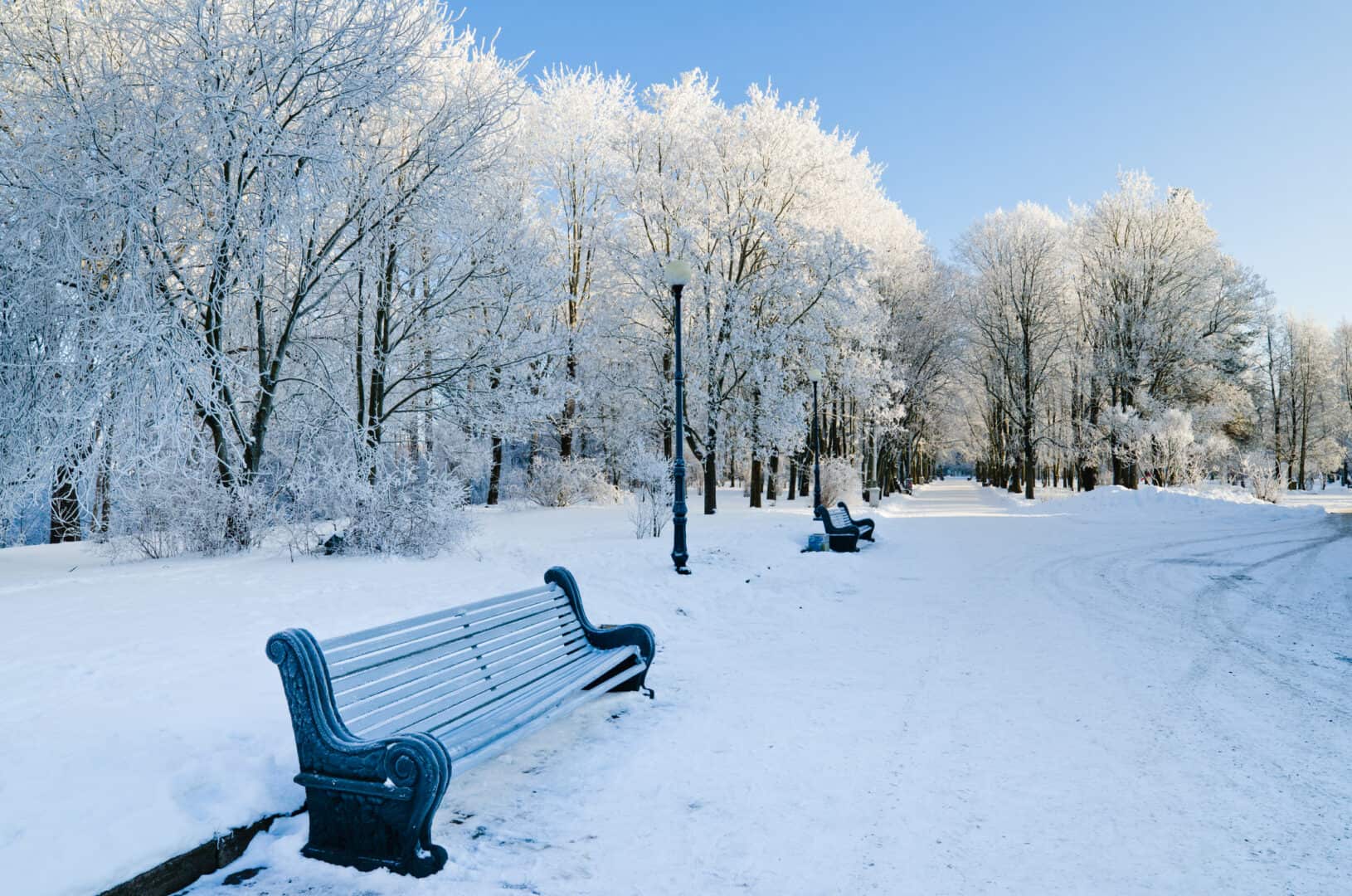 Dal monitoraggio all'incanto: l'attesa della NEVE per chi ama la meteo