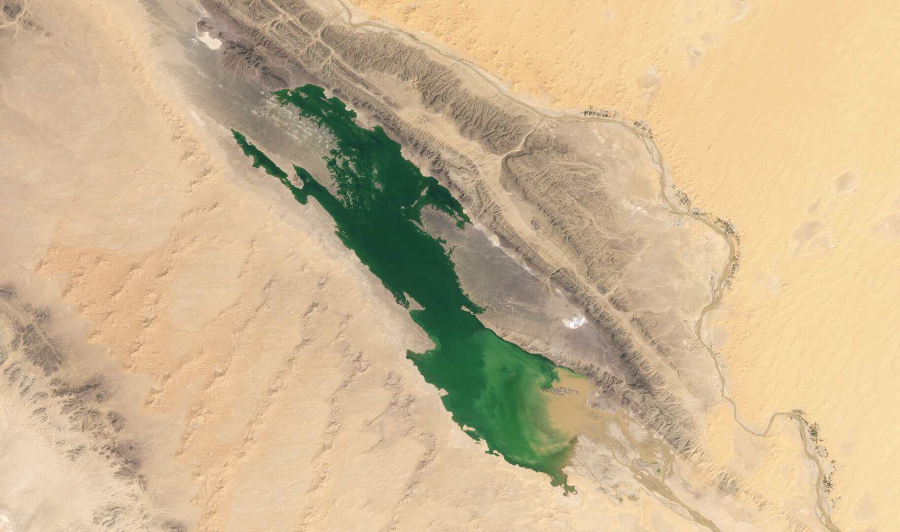 Straordinario nel Sahara! Piogge eccezionali in pieno deserto creano un lago temporaneo