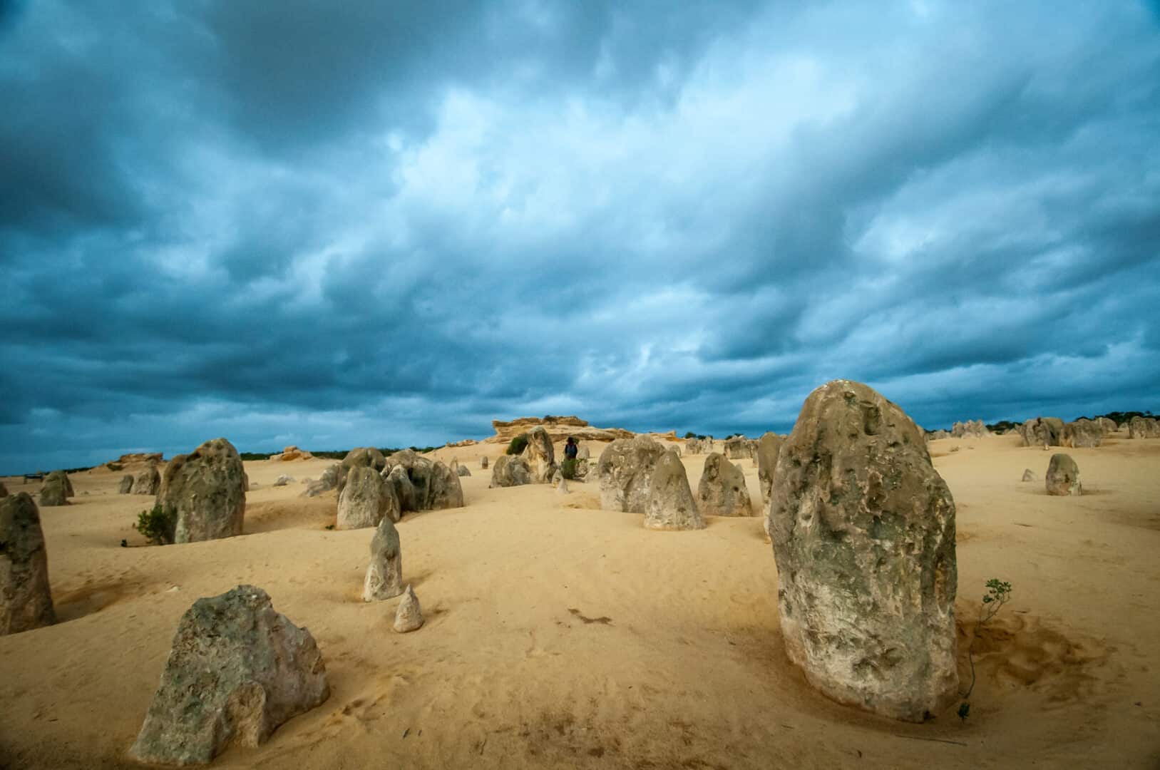 Come si sono formate queste strane strutture nel deserto dell’Australia occidentale?