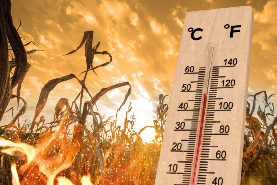 Catastrophic news about the climate that they don’t tell you thumbnail