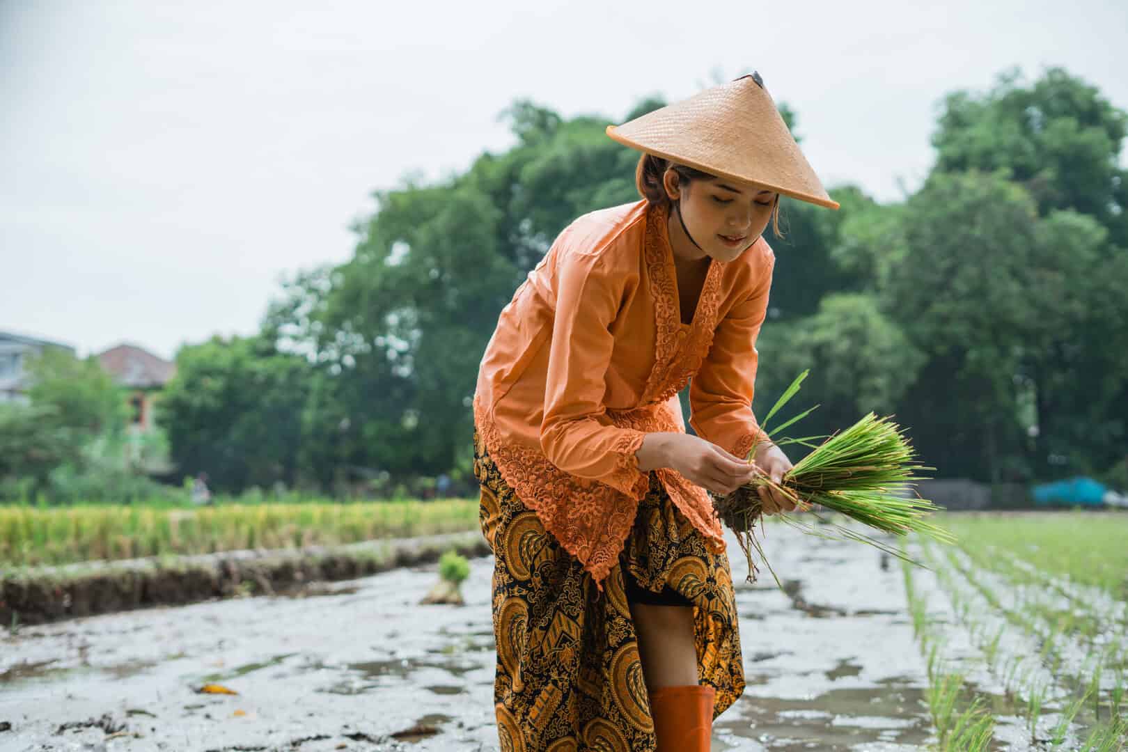 Agricoltura e cambiamento climatico: serve un nuovo modello di produzione?