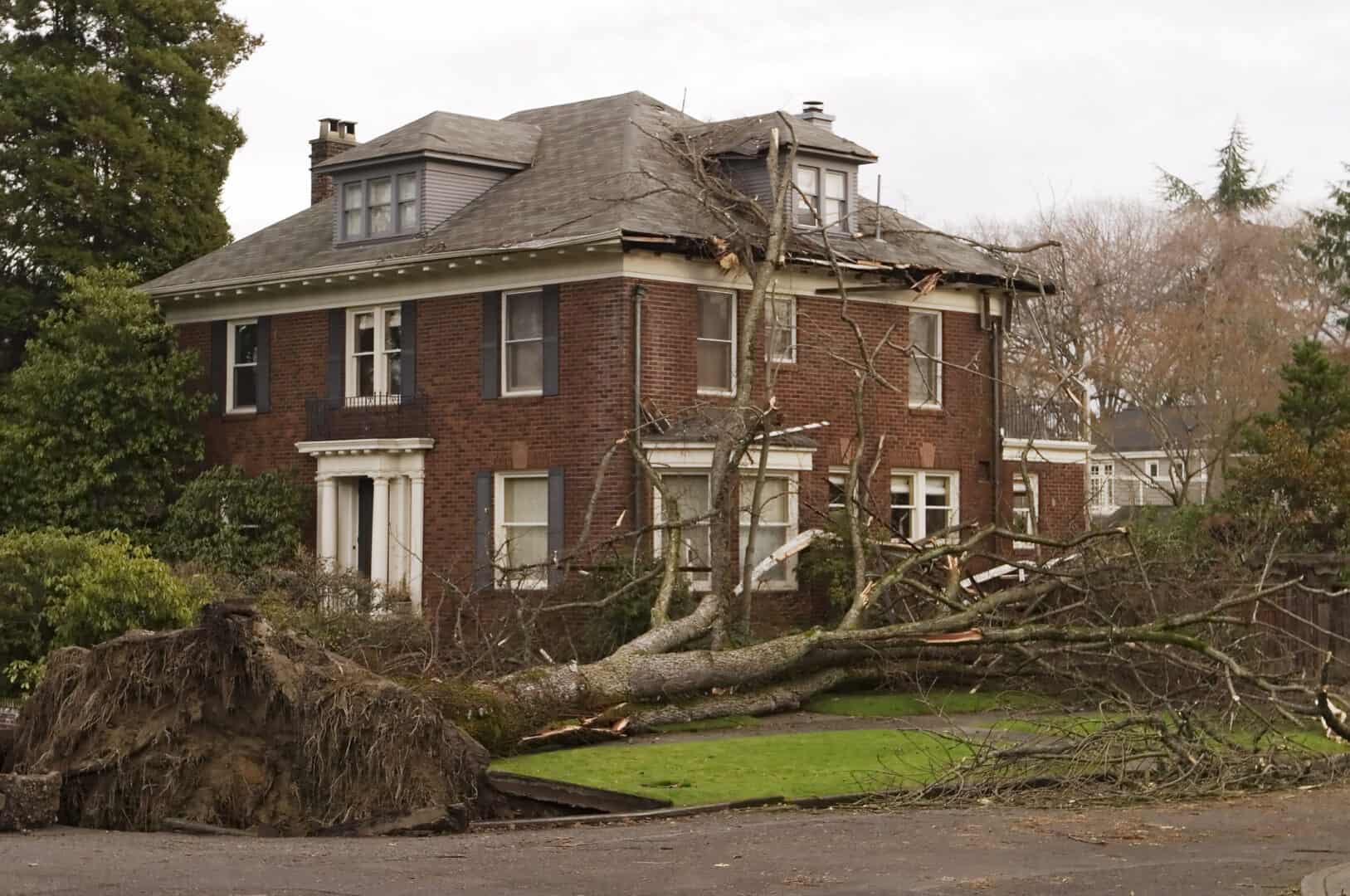 Ciclone bomba senza precedenti colpisce Seattle con venti furiosi: oltre 600 mila senza elettricità