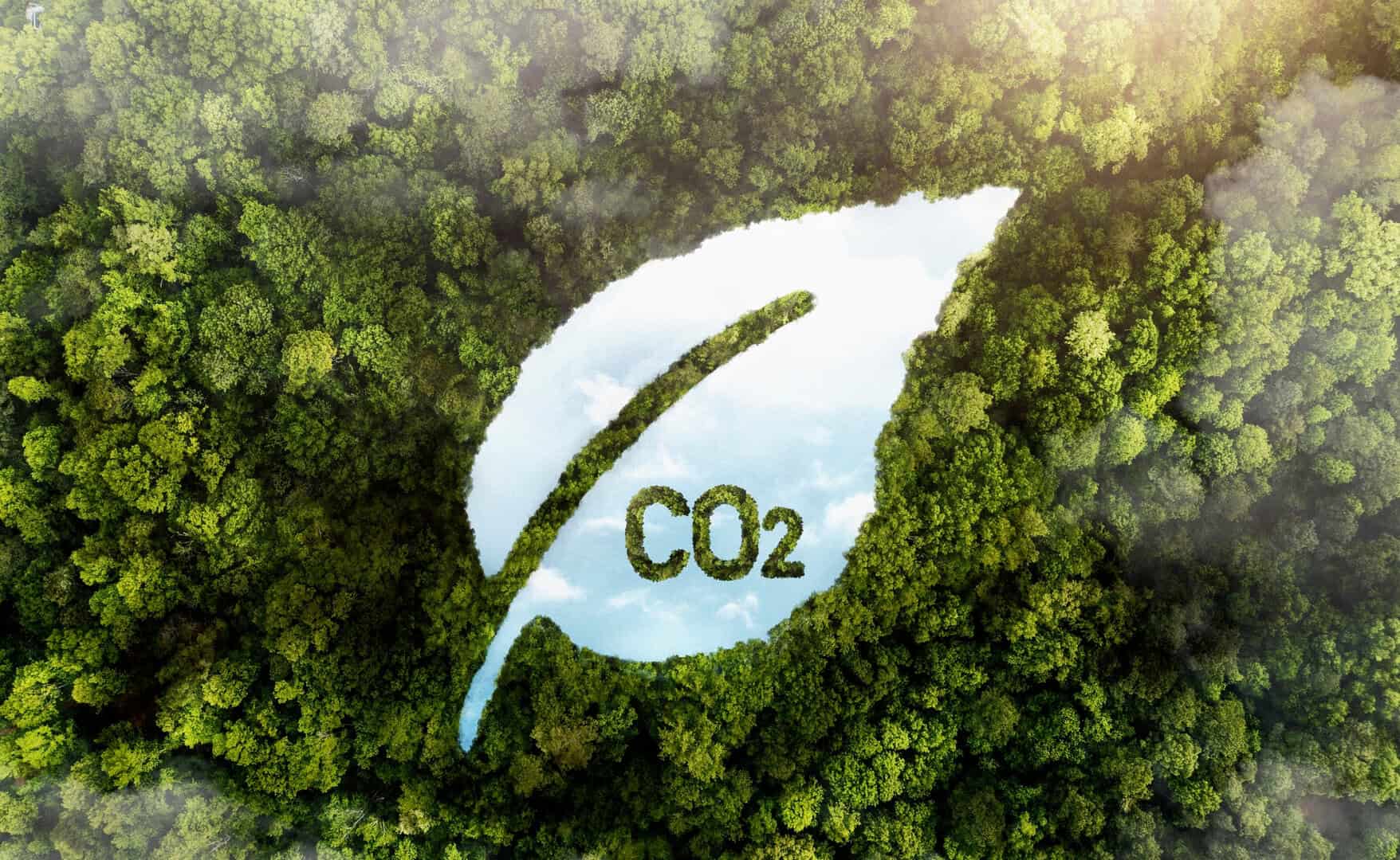 Accordo sui crediti di carbonio alla COP29 di Baku: svolta o compromesso?