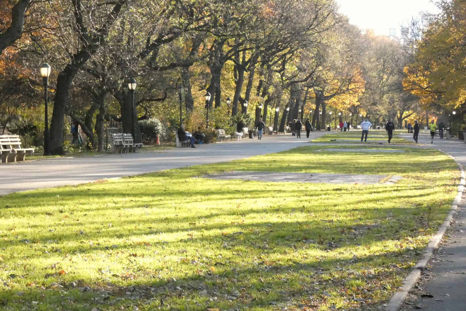 Turismo a New York: il fascino invernale di Washington Heights e Riverside Park