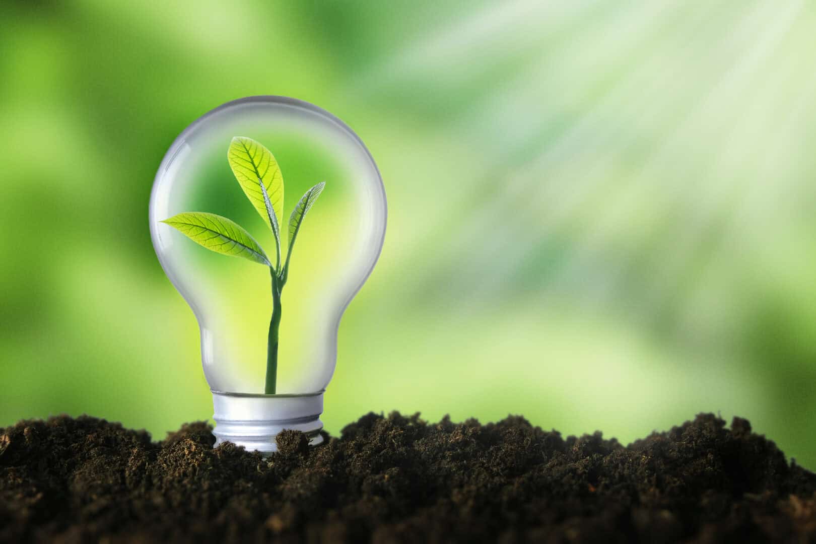 Turismo sostenibile. Strategie e benefici per un futuro eco-responsabile