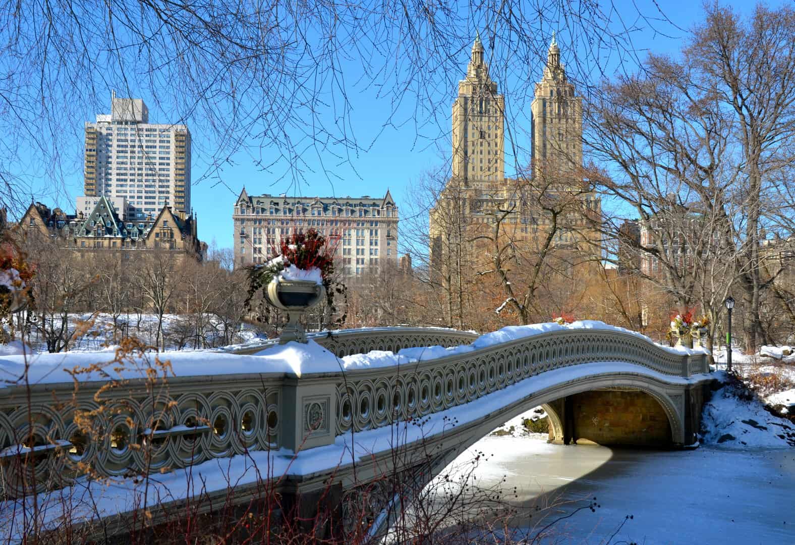 Turismo natalizio a New York: librerie storiche e caffè
