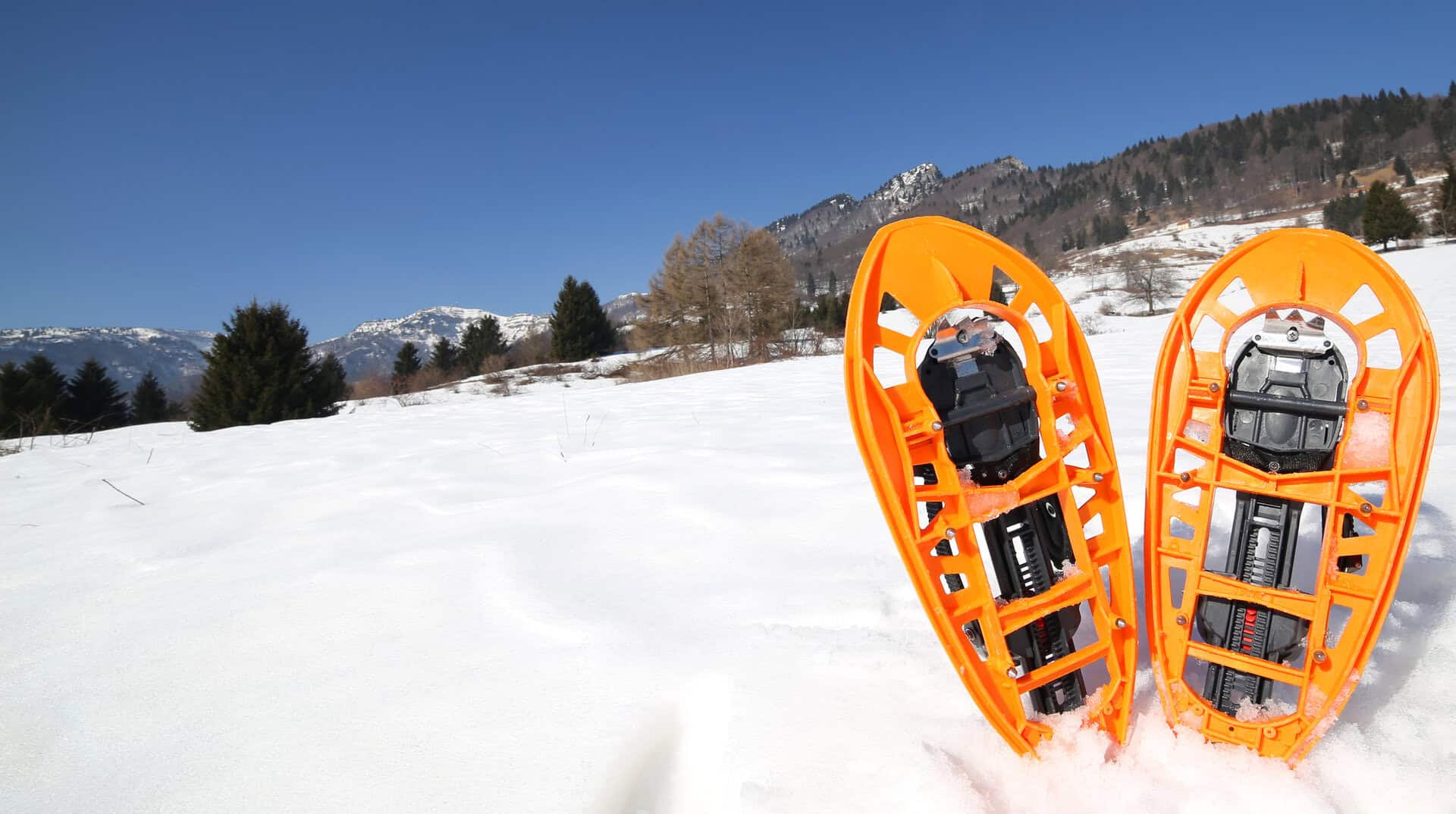 Turismo a Corno alle Scale: Sport Bianchi in Emilia-Romagna