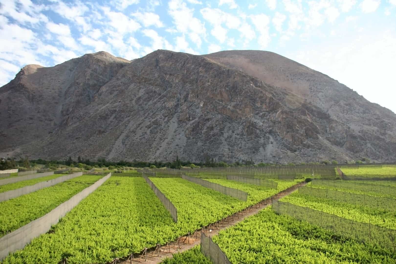 Turismo in valle del Elqui. Serenità sotto un cielo stellato