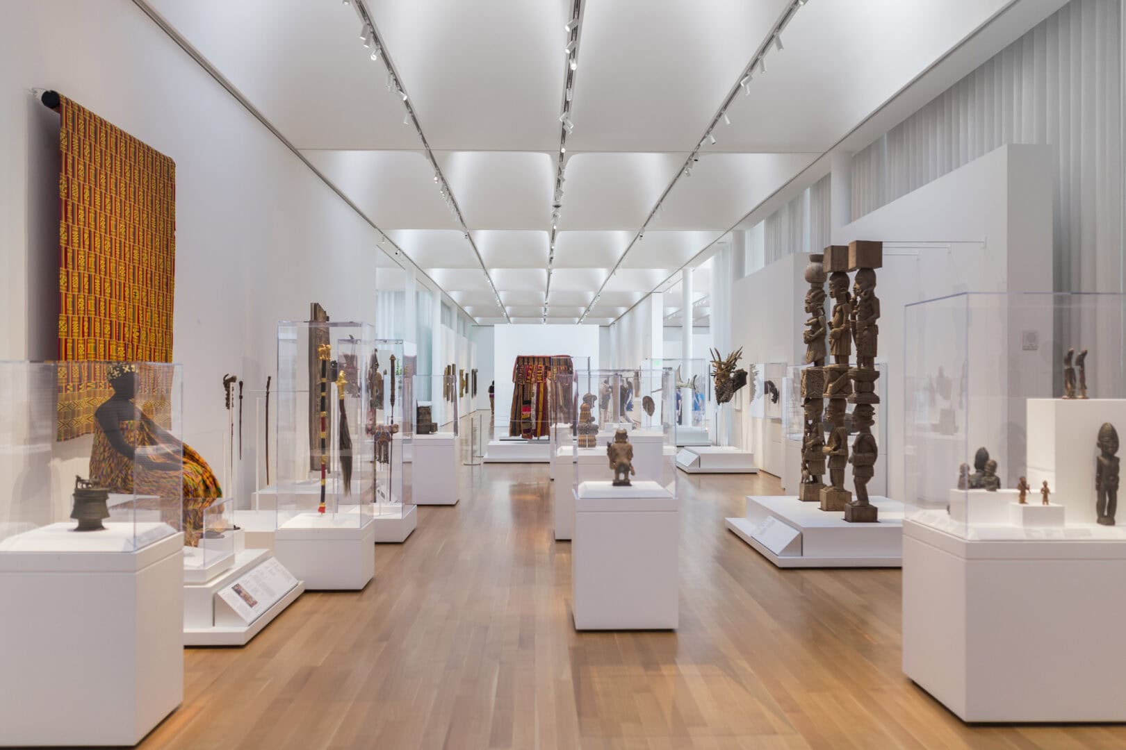 Turismo culturale a Las Palmas. Scopri il Museo Elder della scienza