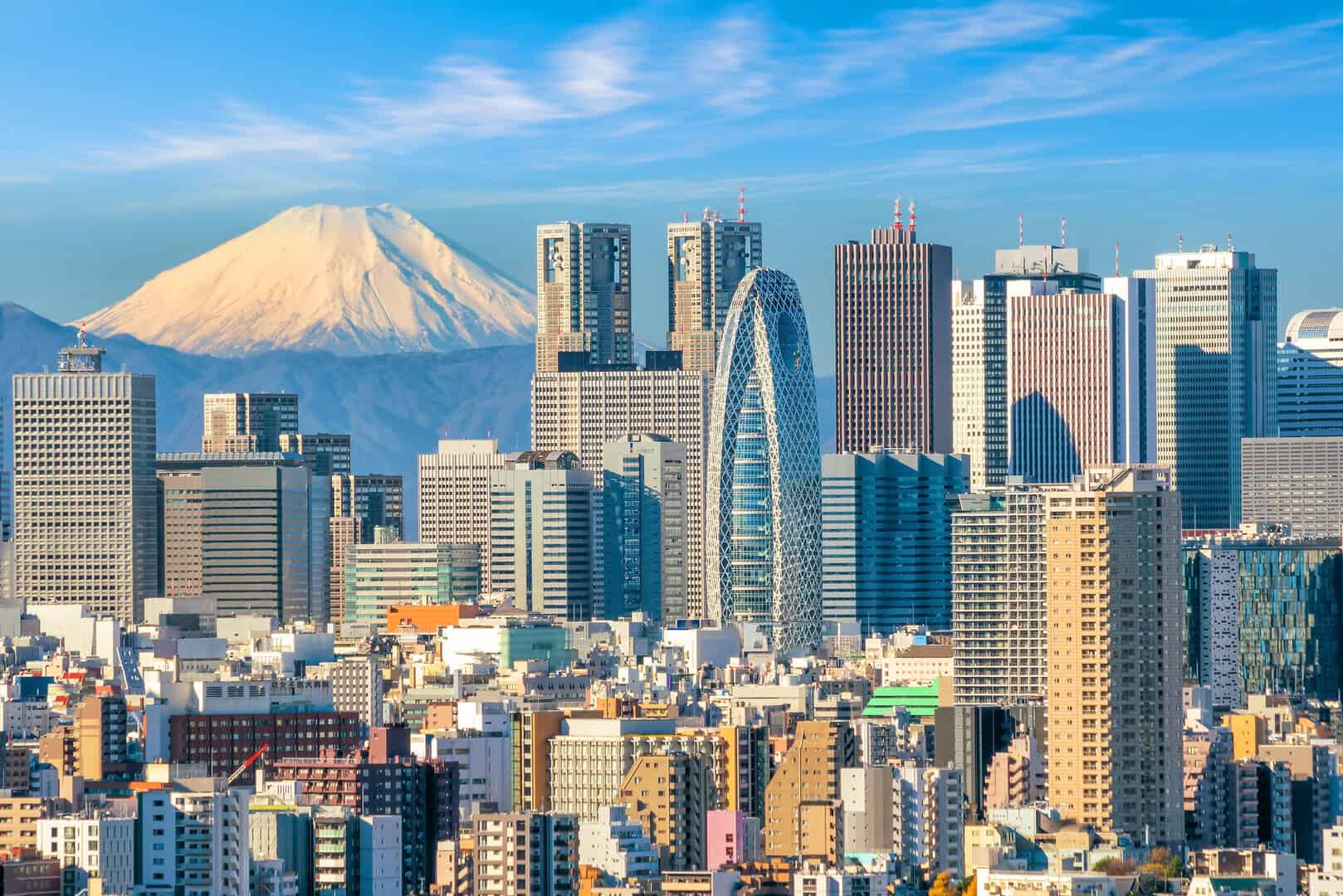 Turismo invernale a Tokyo. Templi, musei e paesaggi mozzafiato
