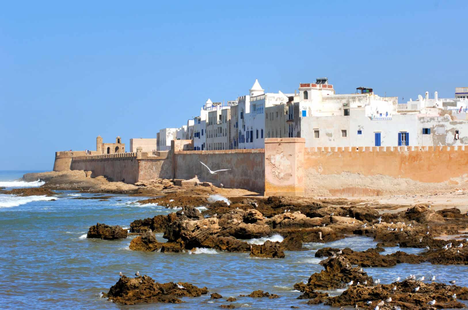 Viaggio a Essaouira: la perla dell'Atlantico marocchino tra tradizione e bellezza senza tempo