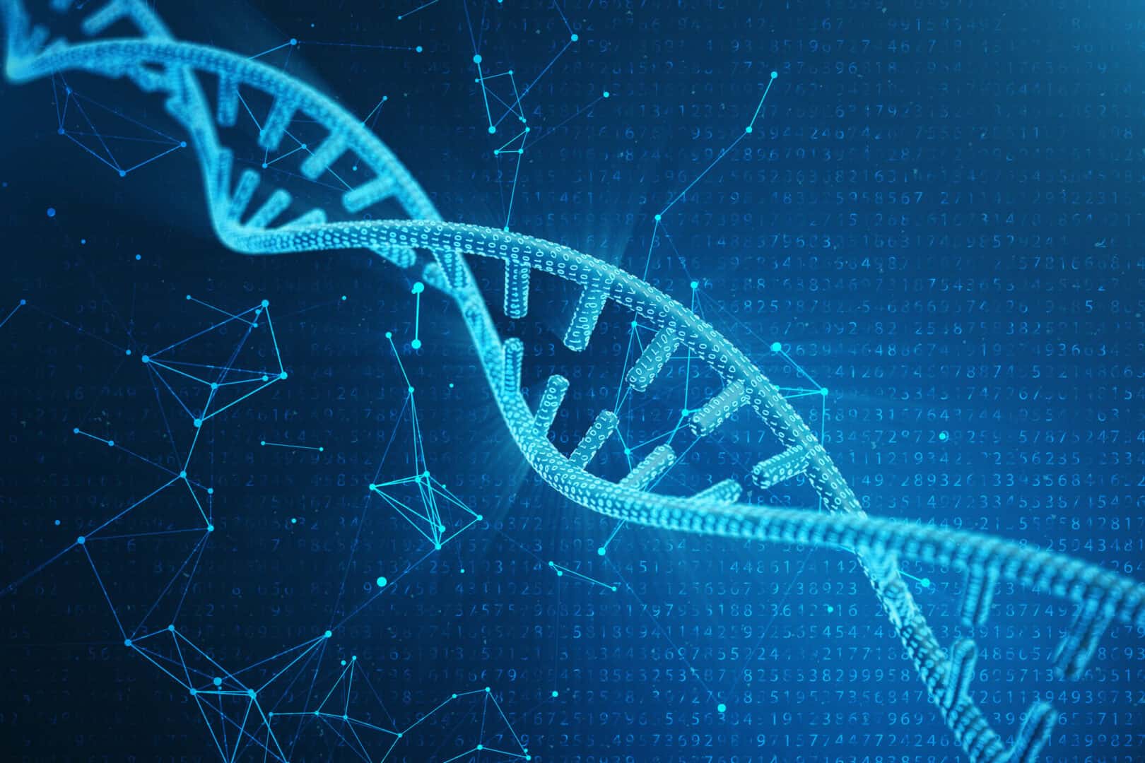 Come sappiamo che l’evoluzione è ancora in corso oggi?