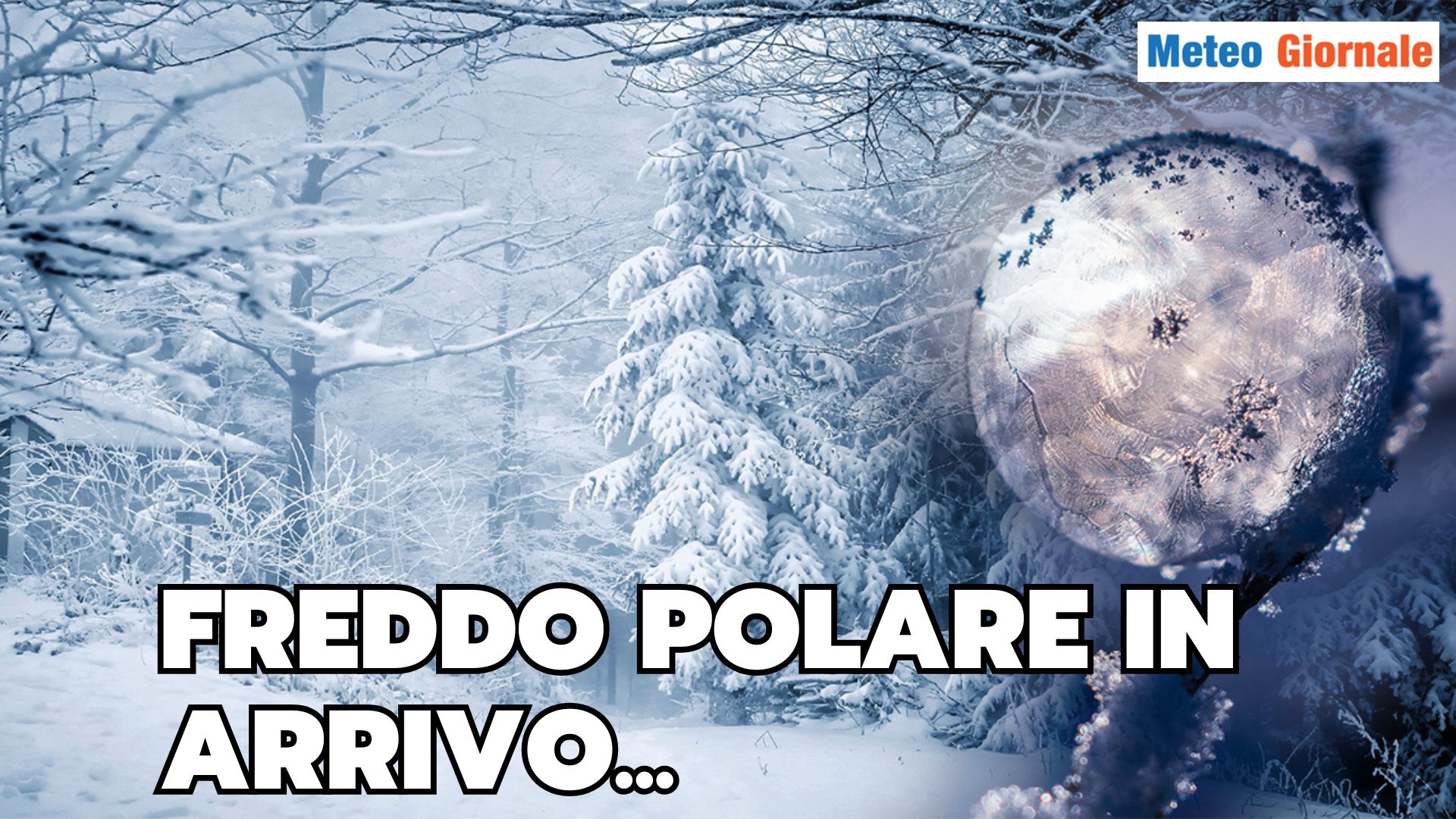 WEATHER winter 2024: will the polar vortex weaken? thumbnail