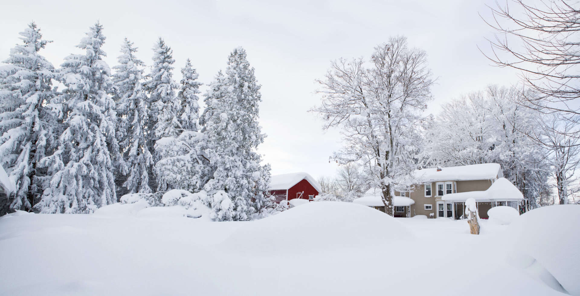 Condizioni meteo estreme negli USA: gelo artico e immense nevicate da New York al Michigan