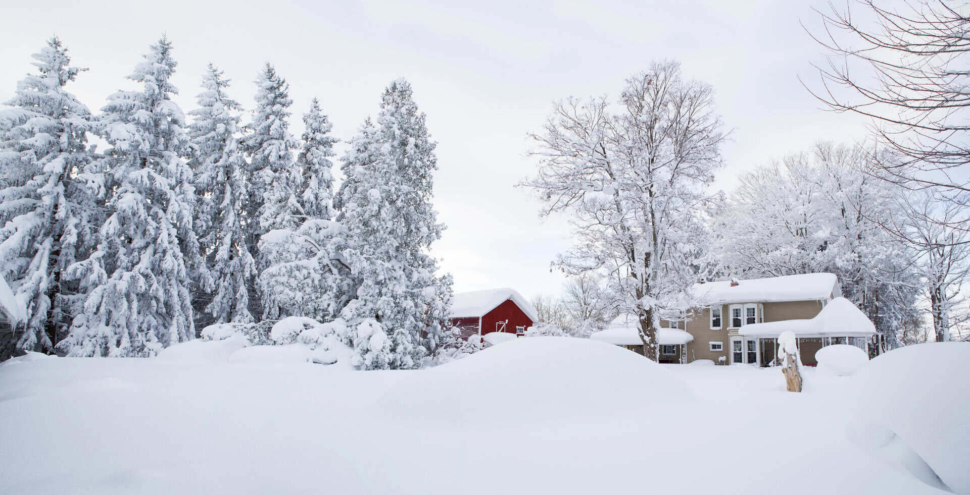Condizioni meteo estreme negli USA: gelo artico e immense nevicate da New York al Michigan