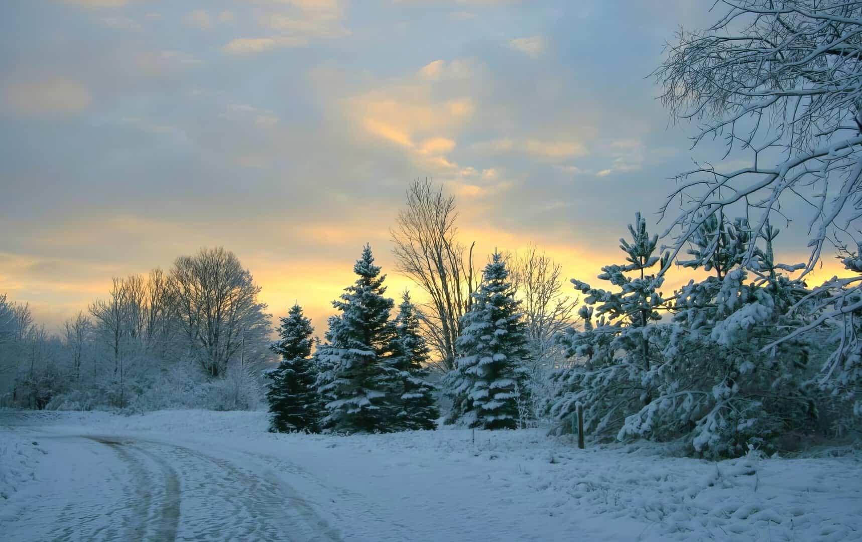 Freddo siderale in Michigan: battuto un record che resisteva dal 1989!