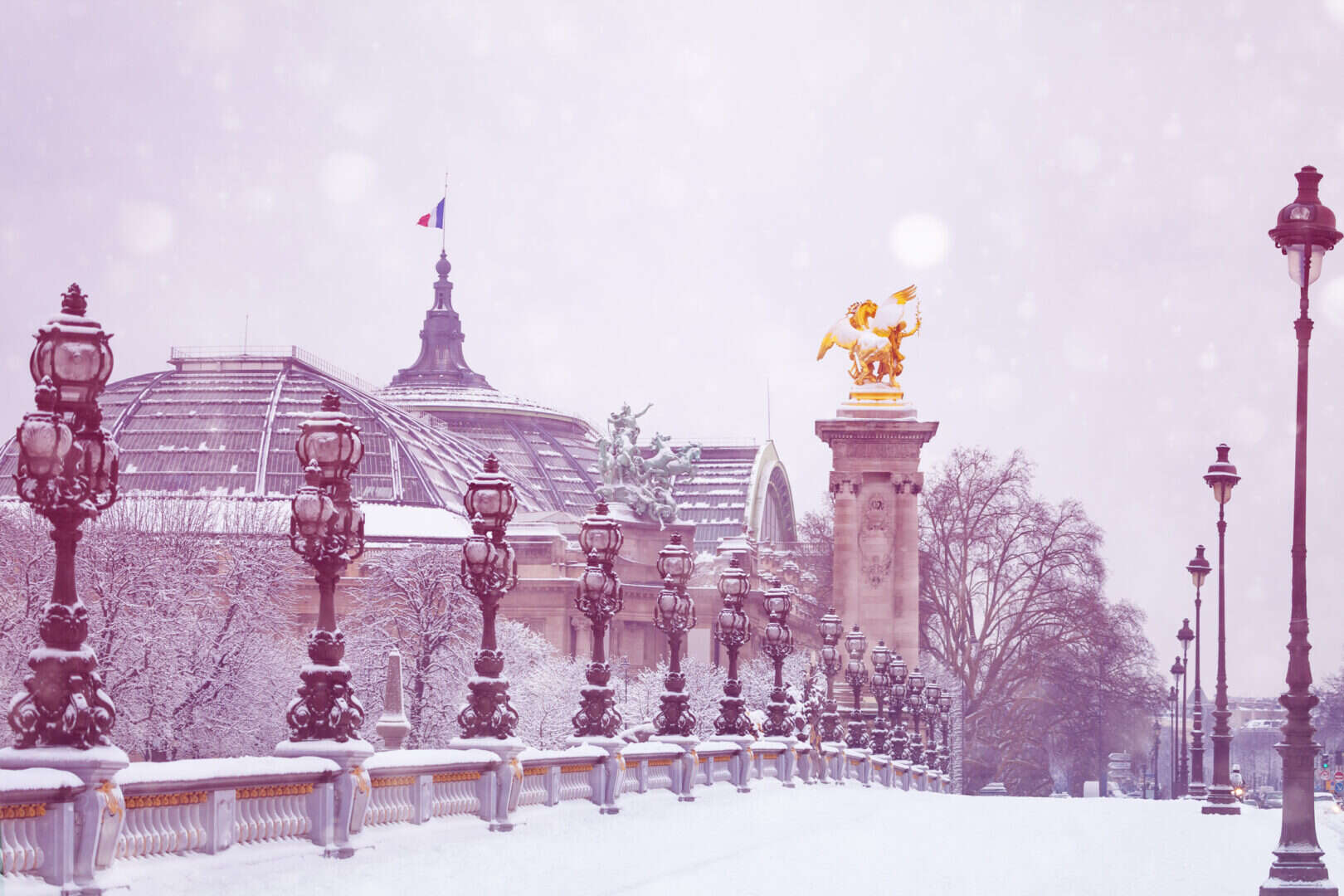 Parigi avvolta dalla neve: la nevicata di novembre più intensa dal 1968