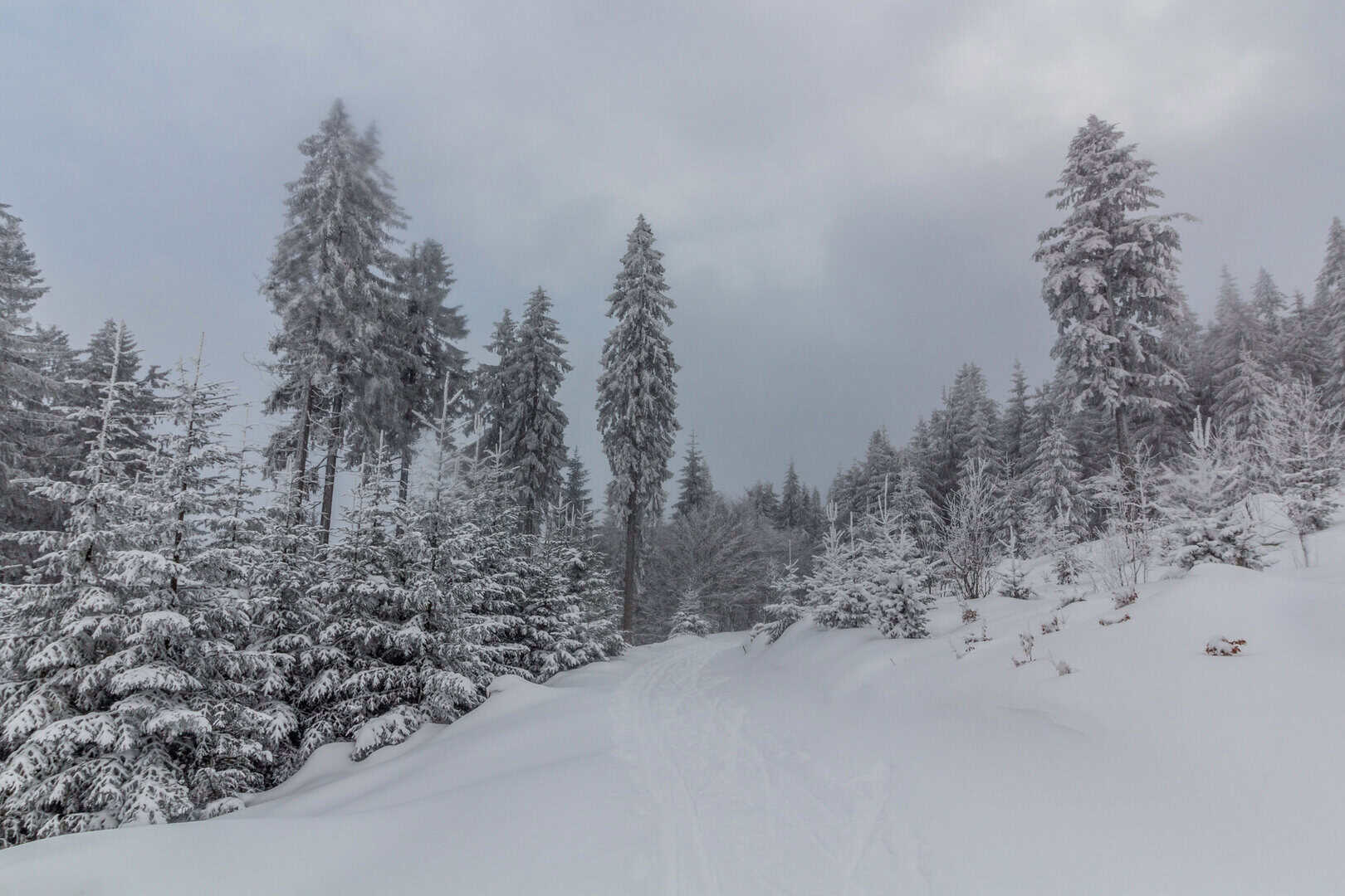 Repubblica Ceca: arriva il meteo d’Inverno, vento, neve e crollo delle temperature