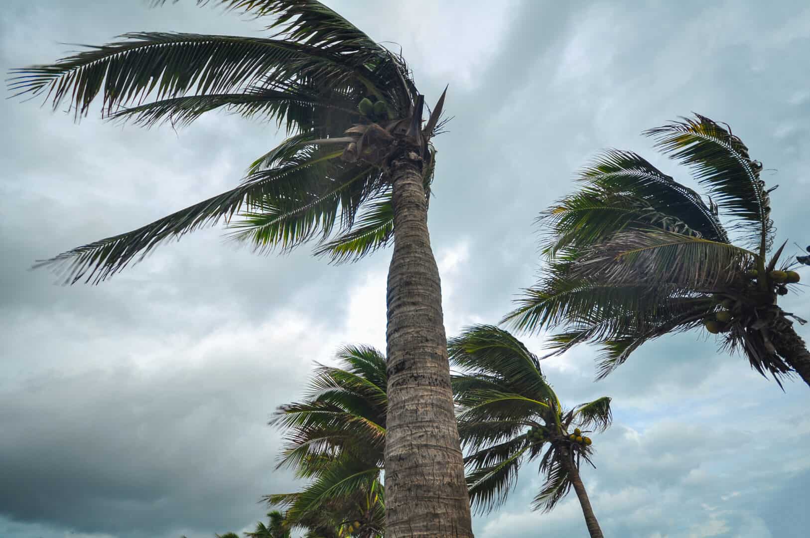 La tempesta Bert scuote la Francia: vento a 120 km/h e temperature folli