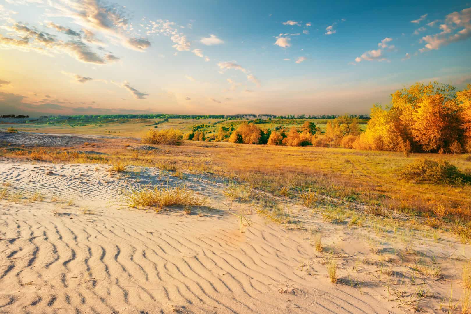 Crisi climatica: l' autunno 2024 è stato il più caldo della storia negli Stati Uniti