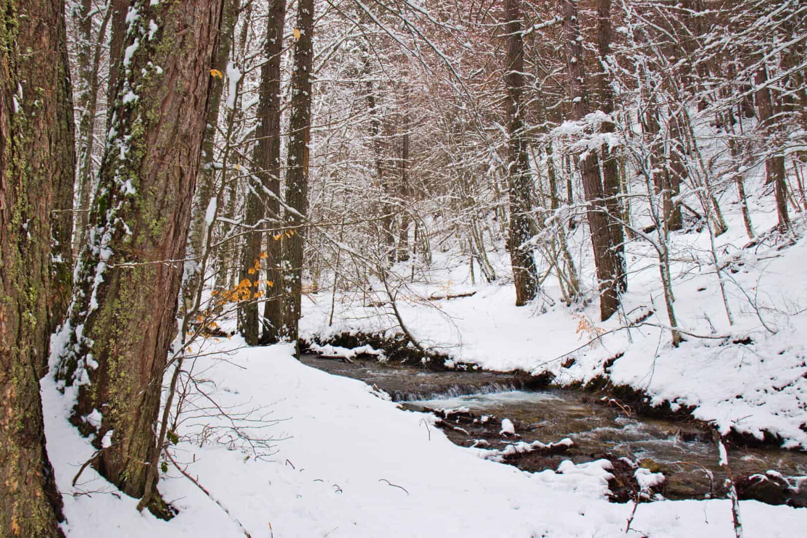 Turismo a Camigliatello Silano. Scopri sci, ciaspolate ed escursioni invernali