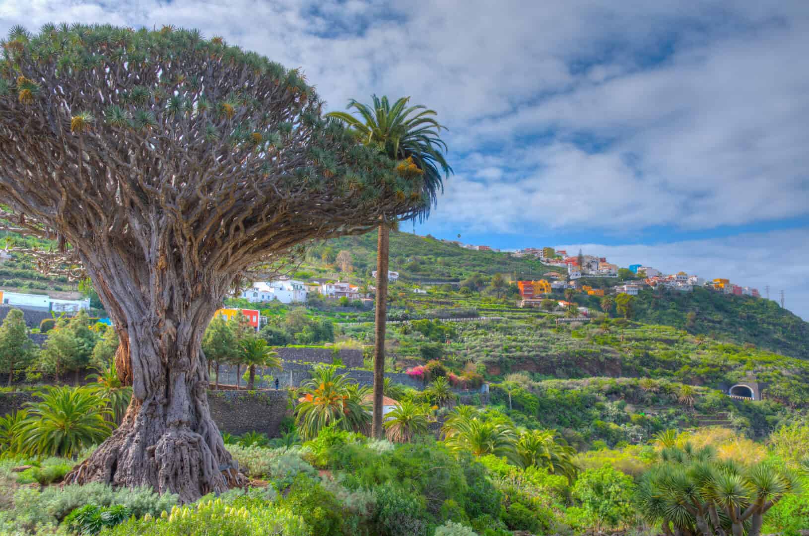 Viaggio alla scoperta della cueva del viento a Tenerife