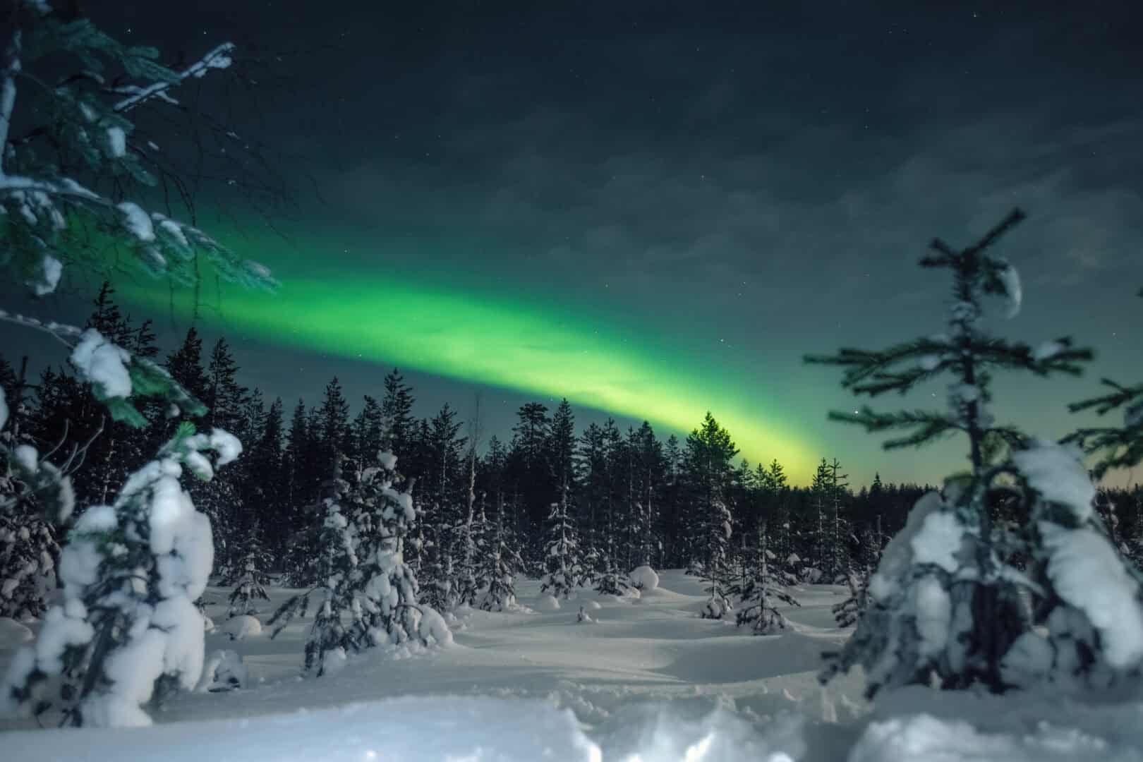 Viaggio a Rovaniemi. Sculture di ghiaccio sotto la guida di esperti artici