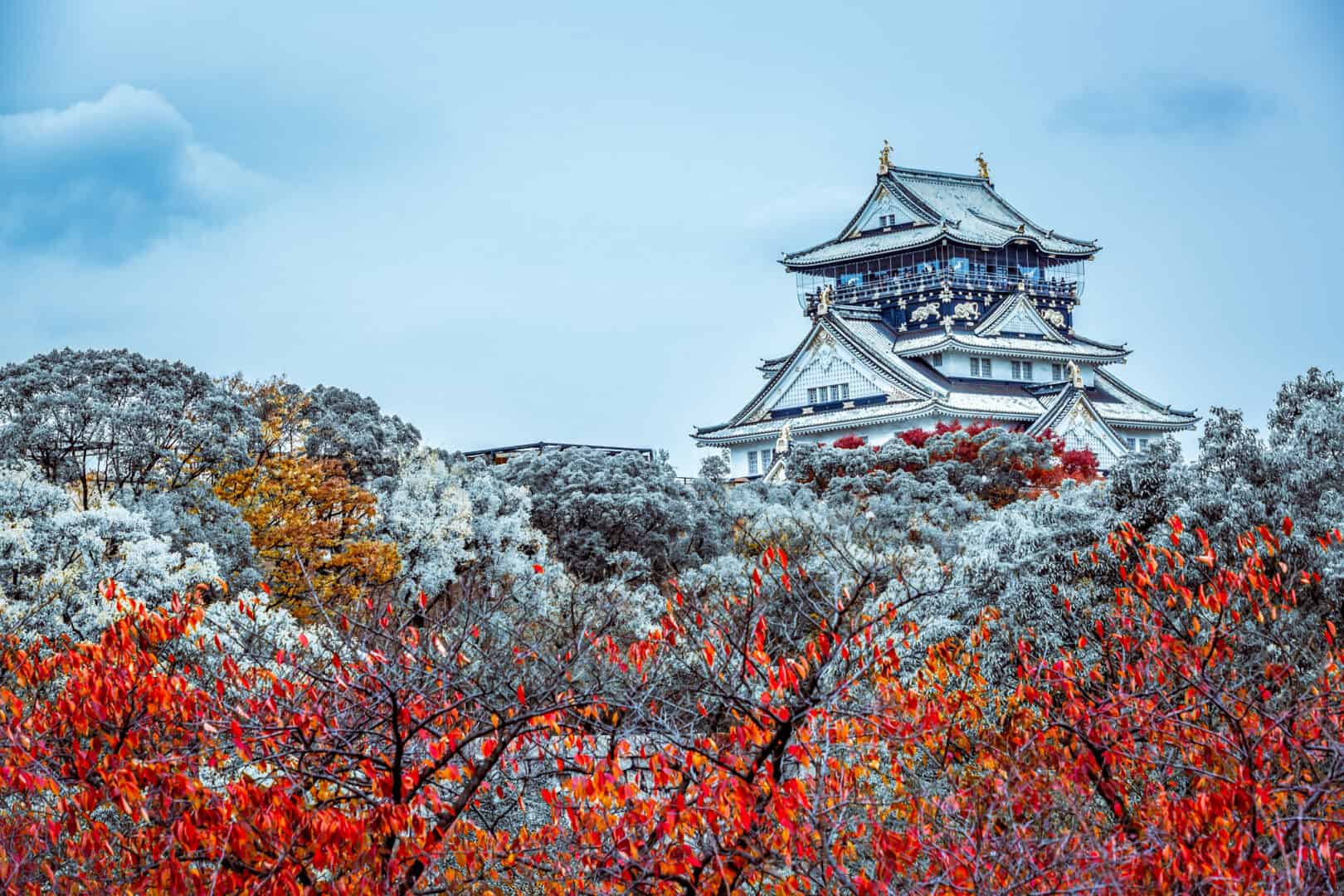 Turismo a Osaka. Cultura e attrazioni nella fresca stagione invernale
