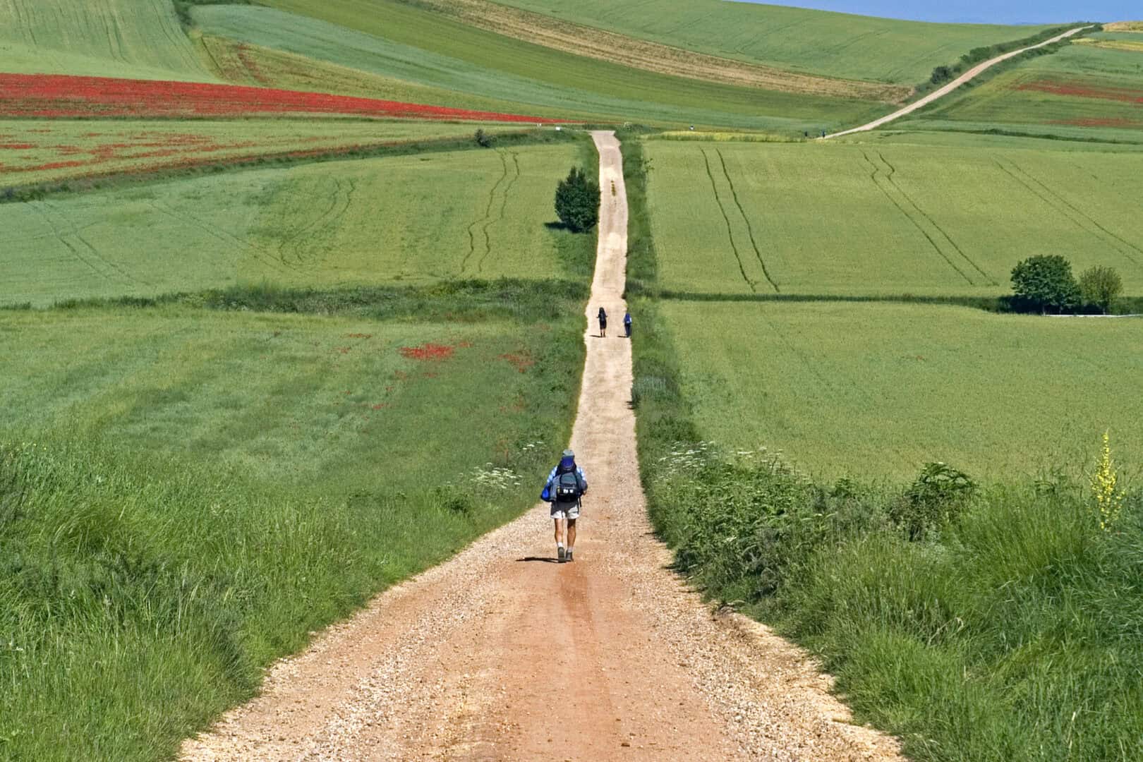 Viaggio a Santiago de Compostela. Inverno mite e spiritualità nel cammino