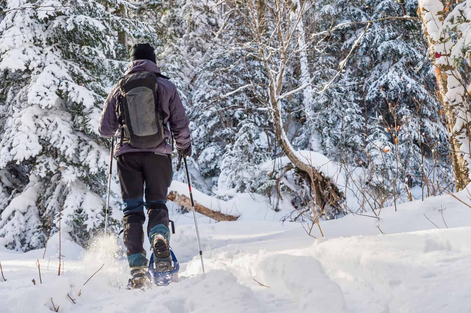 Turismo a Monte Nevegal: Guida a sci, snowboard e ciaspolate nel Veneto