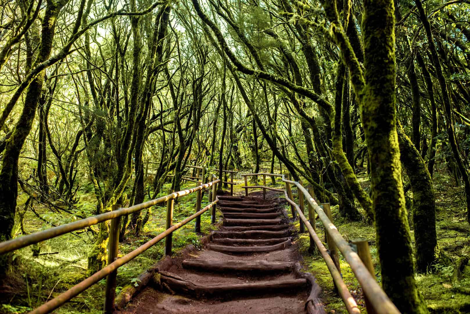Viaggio a La Gomera. Natura, tradizioni e panorami unici