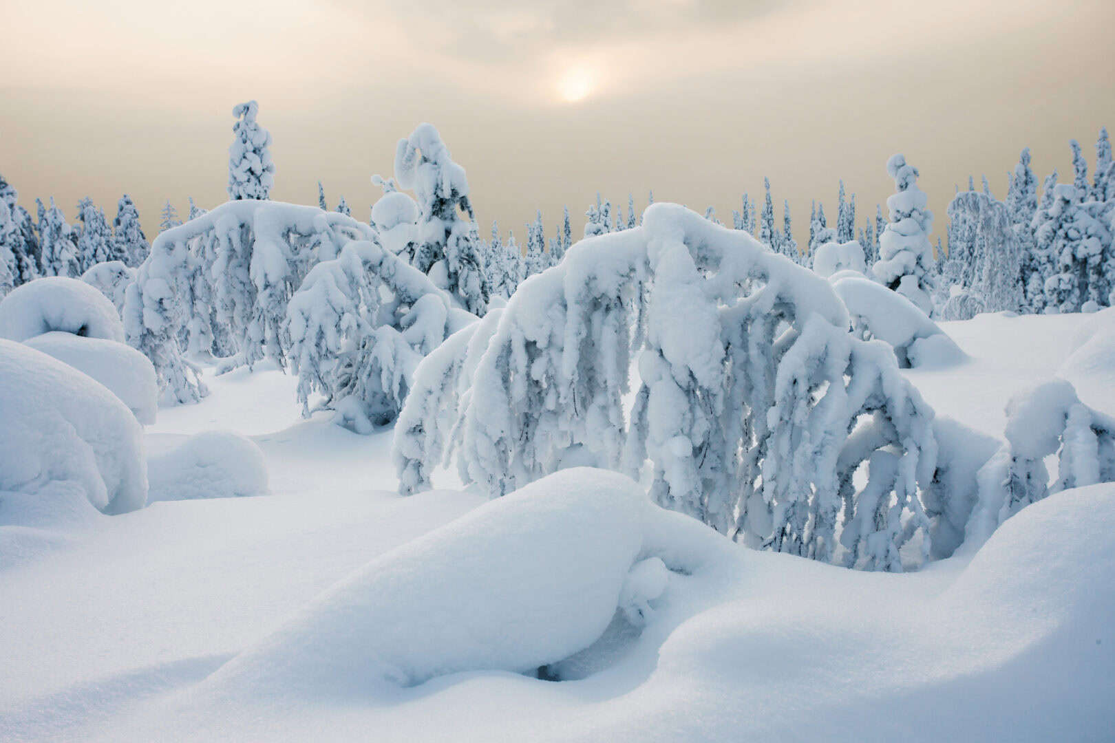 Europa come la Siberia: le zone a rischio