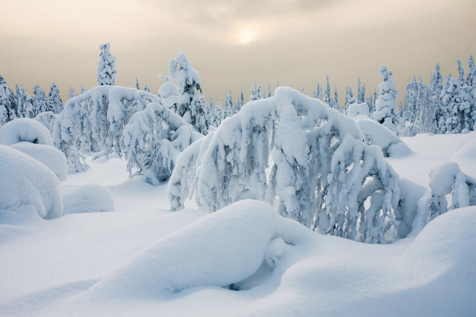Europa come la Siberia: le zone a rischio