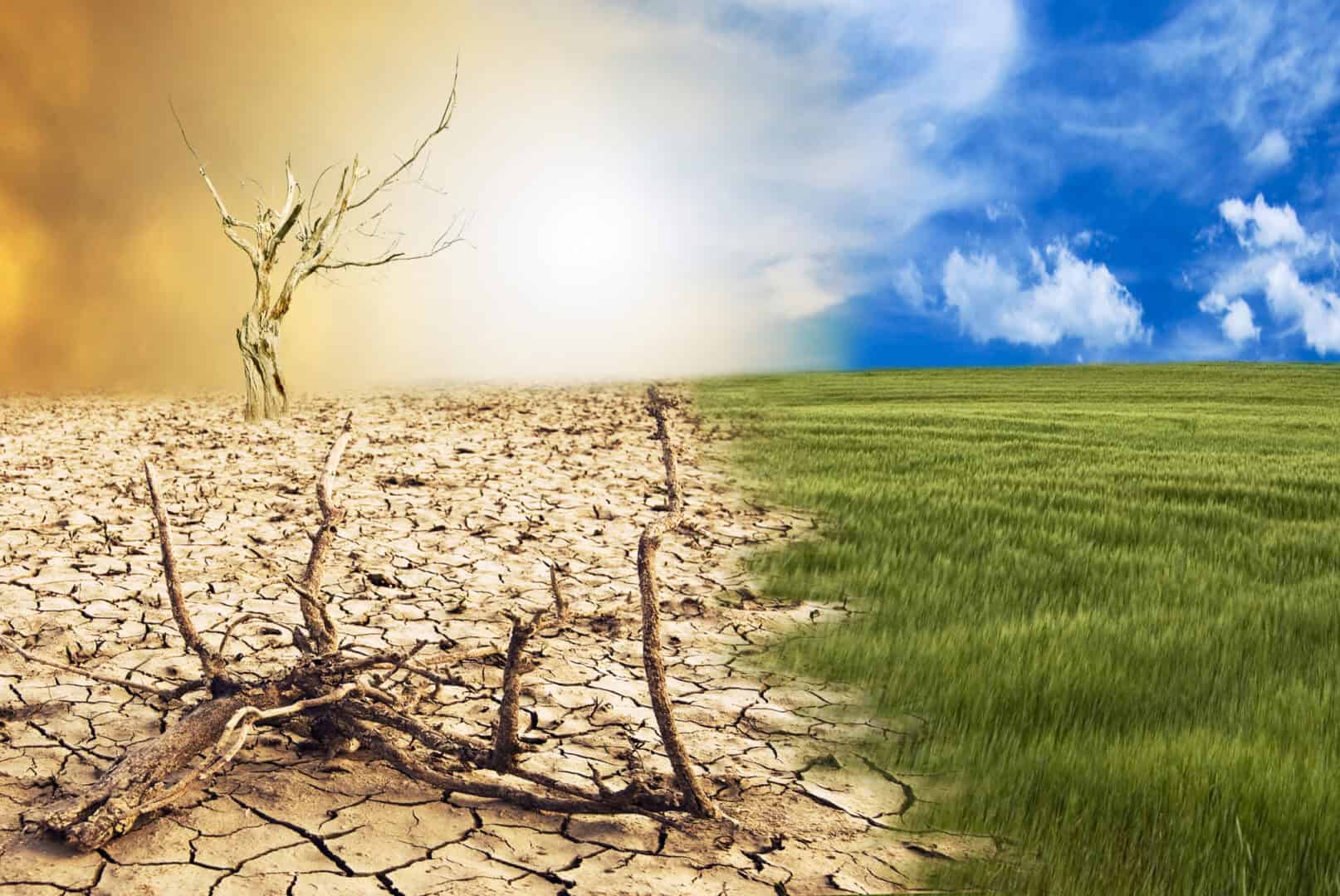 Il mondo sta diventando più arido: siccità perpetua a causa del cambiamento climatico