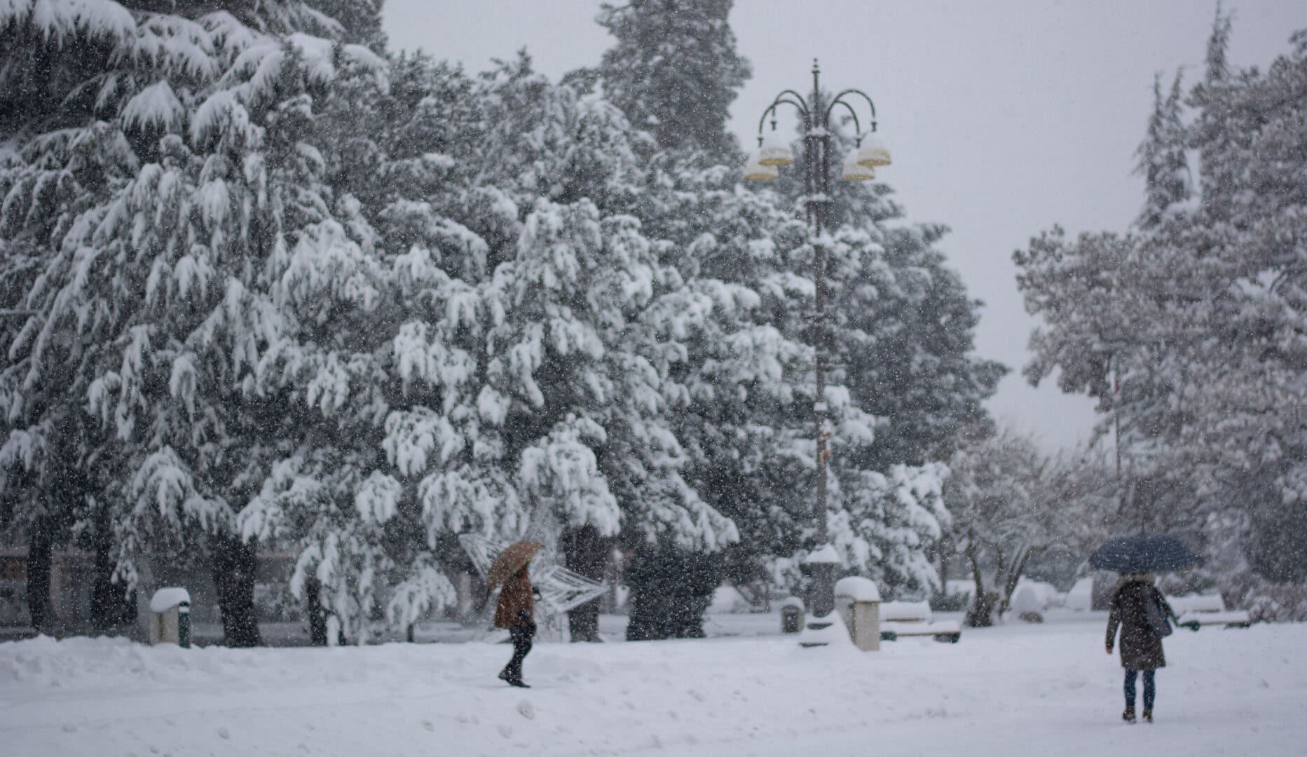 La storica nevicata del gennaio 1981: Palermo si risveglia imbiancata