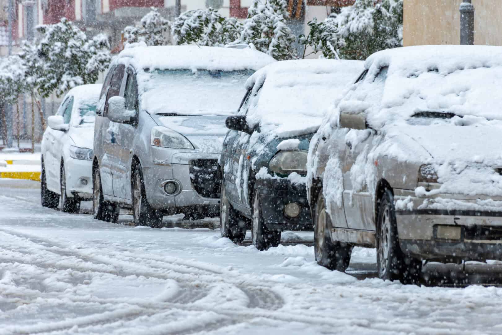 Neve in Algeria: un fenomeno straordinario trasforma di bianco il paesaggio di Sétif