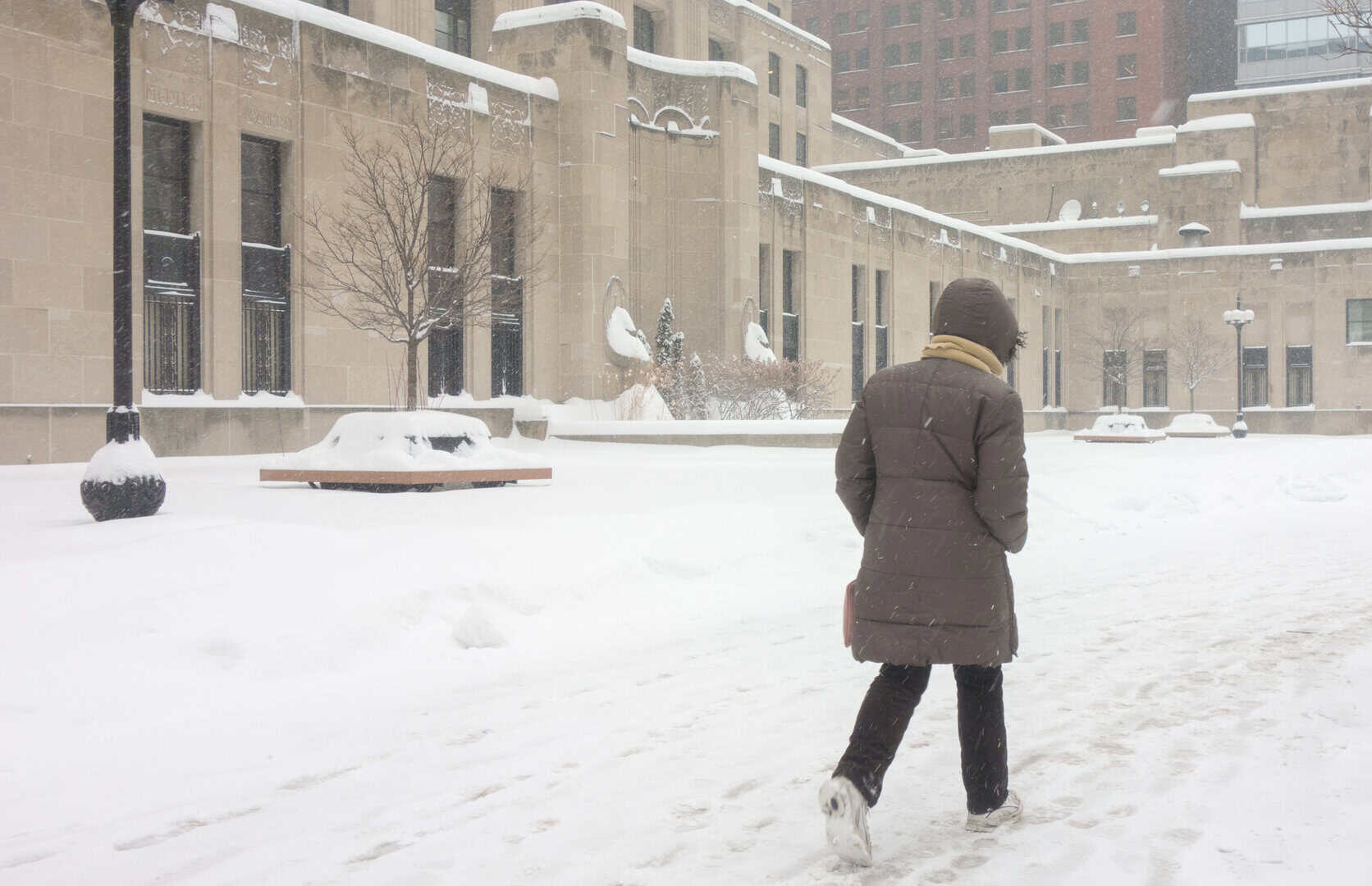Tempesta invernale negli Stati Uniti: nevicate dal Midwest al Nordest e New York piomba a -11°C!