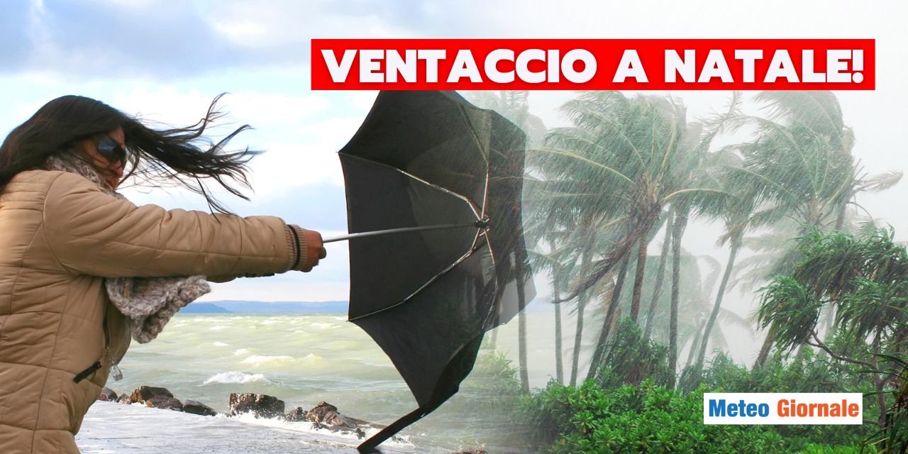 Tiempo: ¡viento fuerte en Navidad! Ráfagas de más de 60 km/h en estas zonas thumbnail