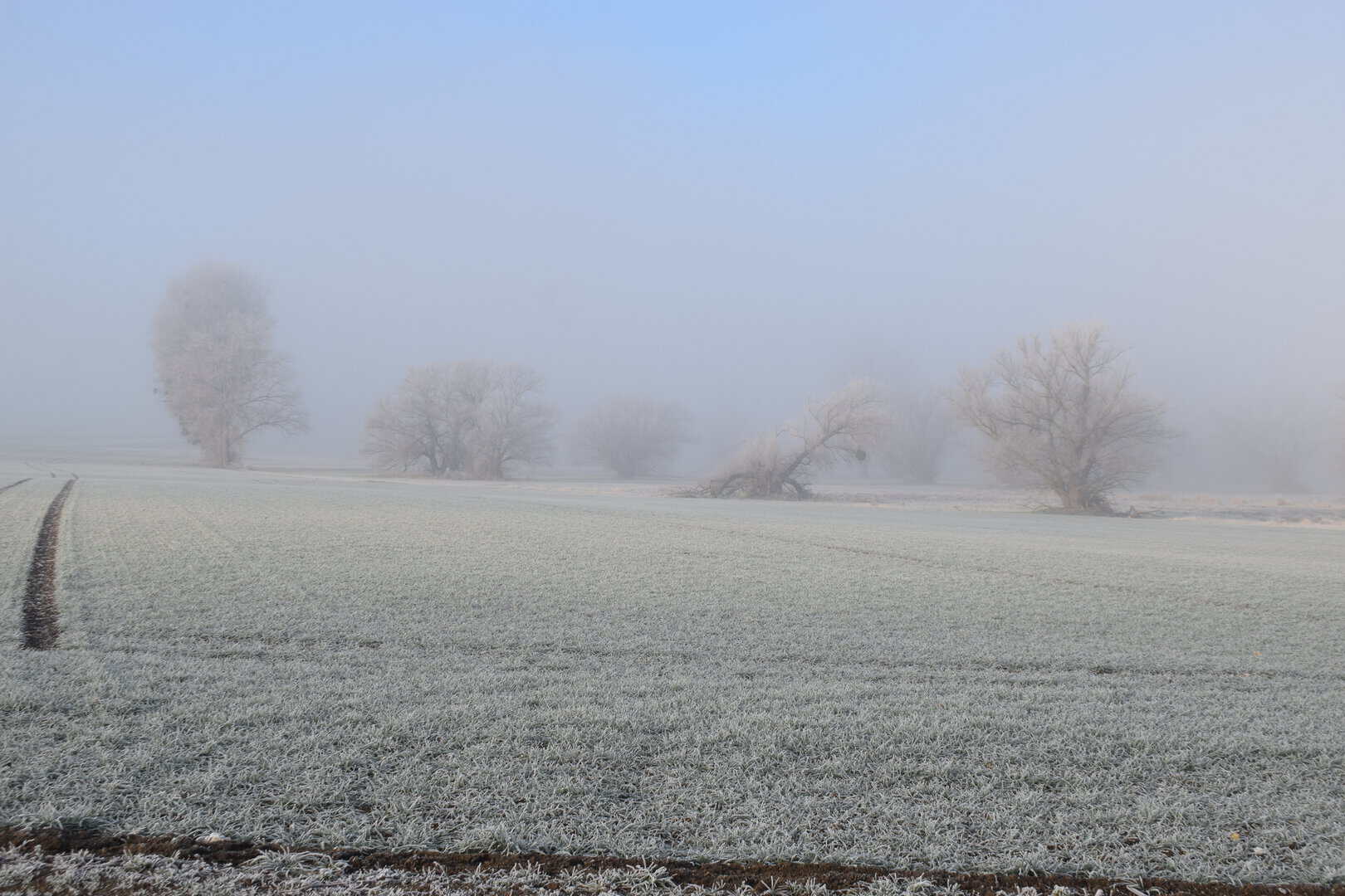 Belgium Frozen fog