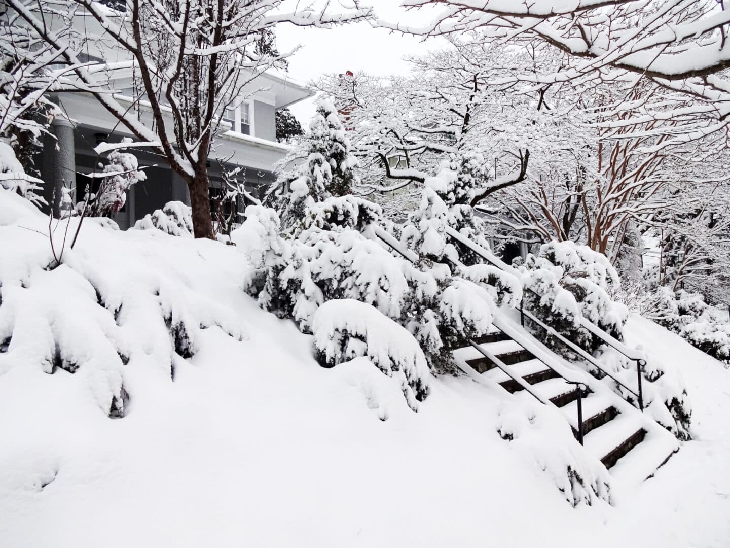 Meteo estremo a Washington D.C.: la capitale USA paralizzata dalla peggior tempesta di neve da anni