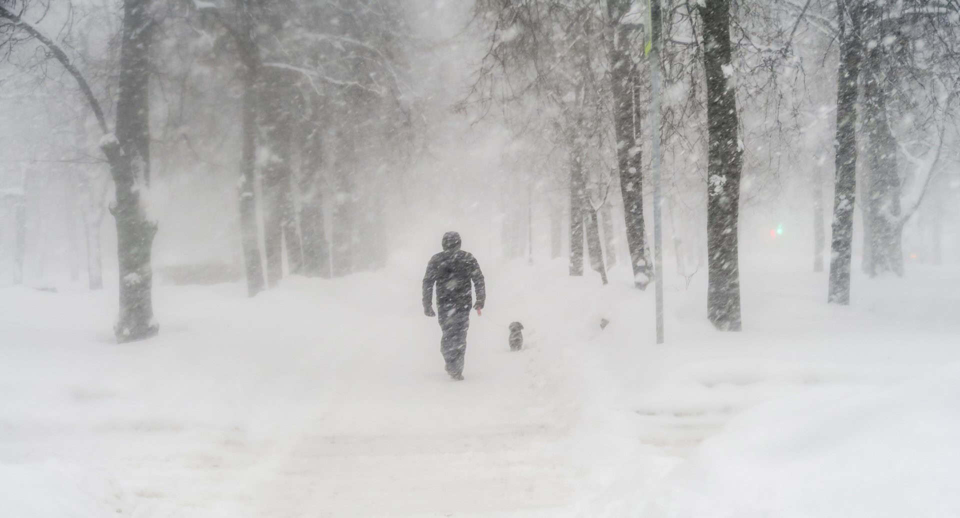 Sardegna, quando si ammantò di neve come la Groenlandia