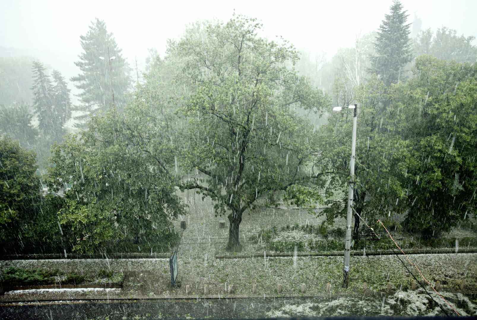 Meteo Bulgaria: gelo polare e allerta gialla per temperature estreme nel nord-est! Minime fino a -10°C