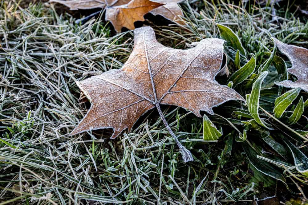 Meteo Catalogna: in arrivo un brusco cambiamento, ecco quando il freddo colpirà la regione