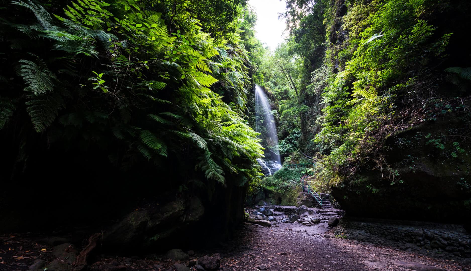 Viaggio a La Palma, Isole Canarie. Escursioni fotografiche tra cascate e vulcani