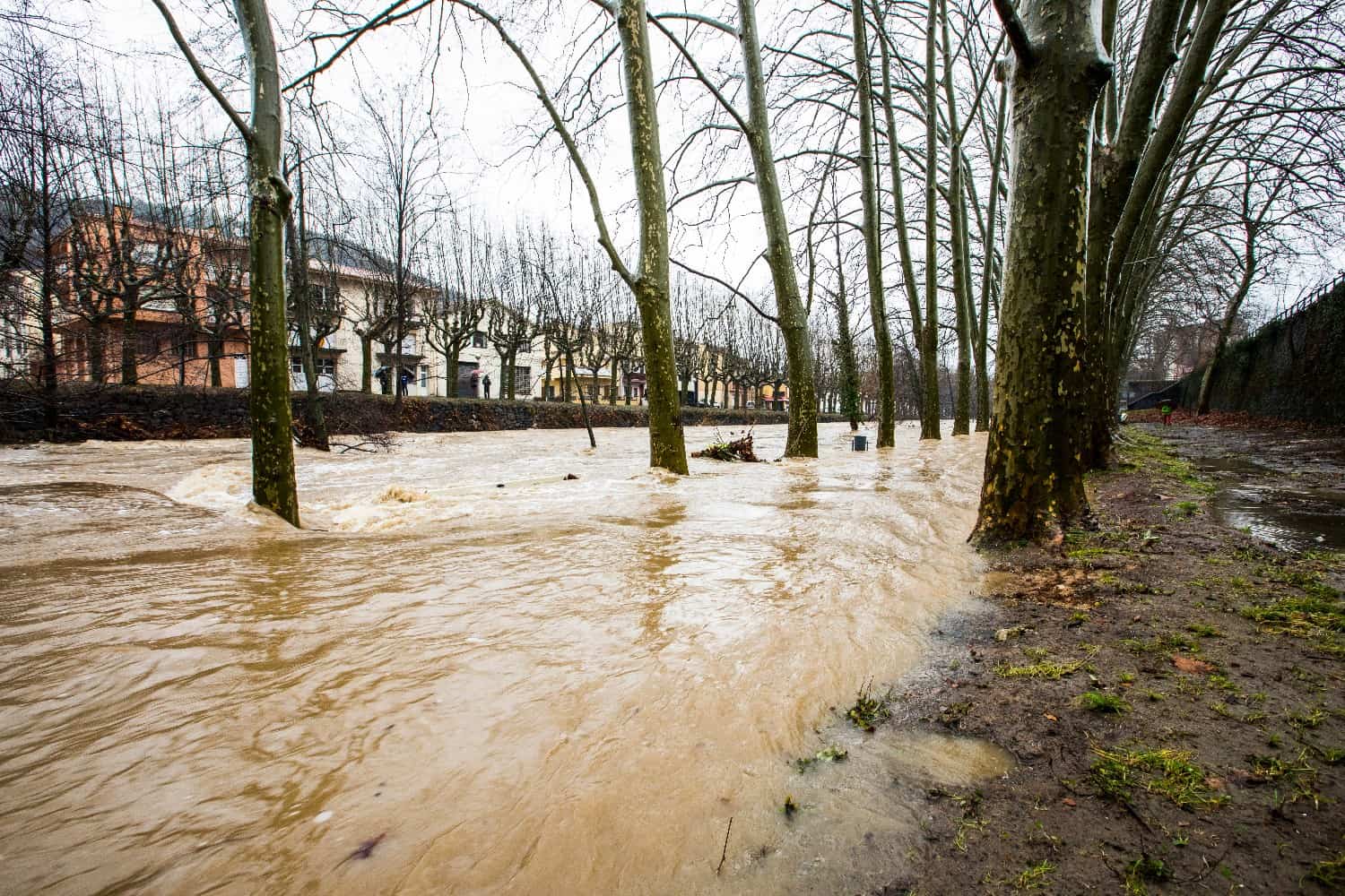 Meteo Catalogna oggi: piogge torrenziali senza sosta, alluvioni imminenti e allerta massima in nove province